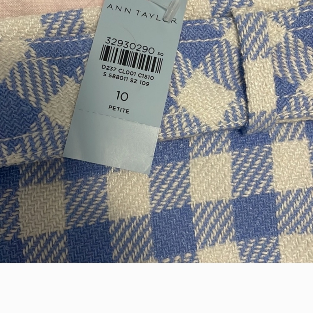 Ann Taylor blue and white gingham skirt. Size 10P. NWT.